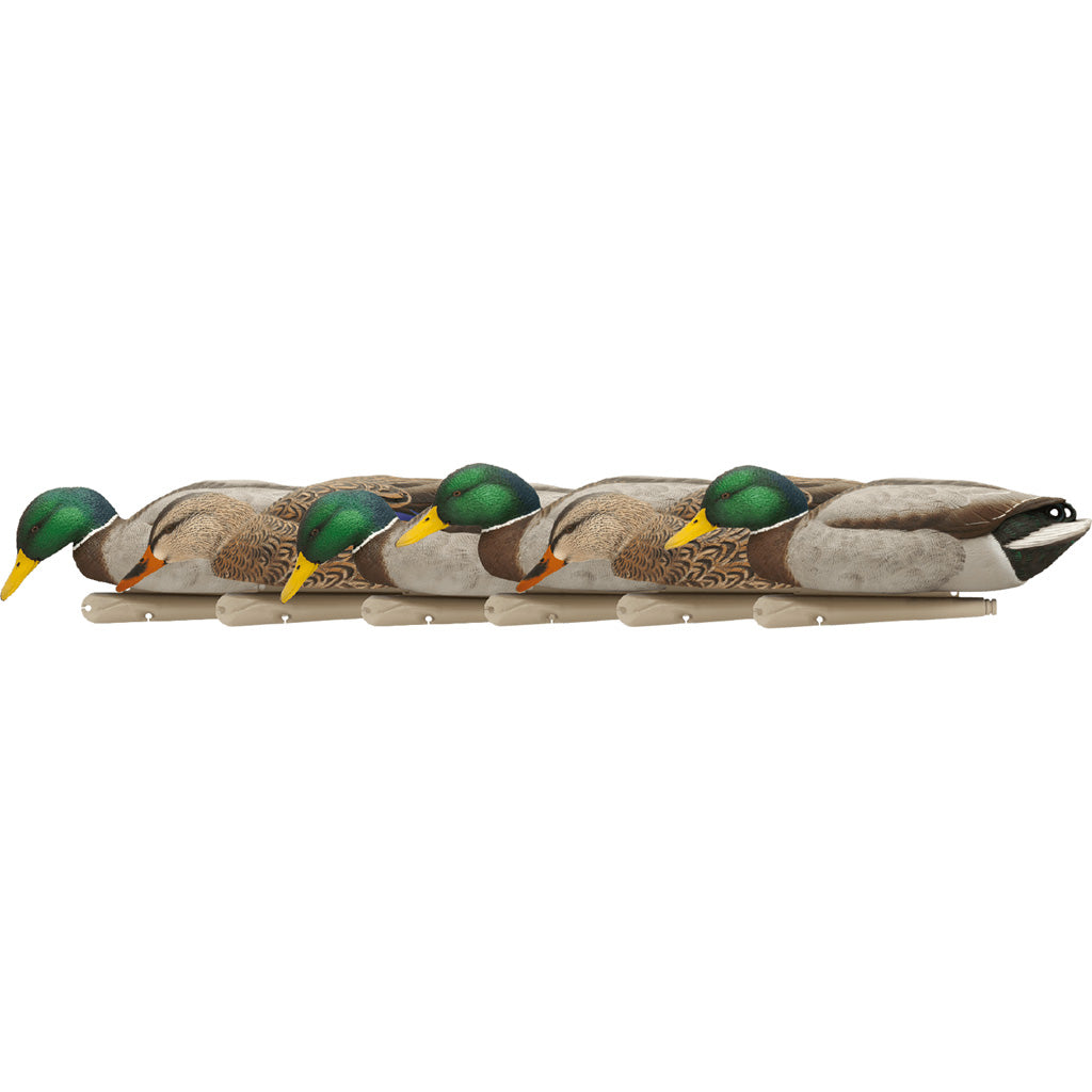 Avian X Top Flight Duck Decoys Backwater Mallards 6 pk.