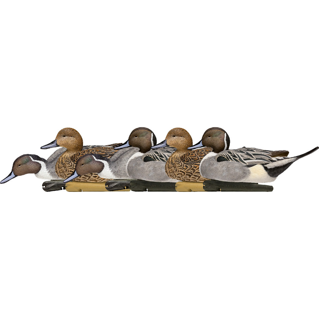 Avian X Top Flight Duck Decoys Pintail 6 pk.