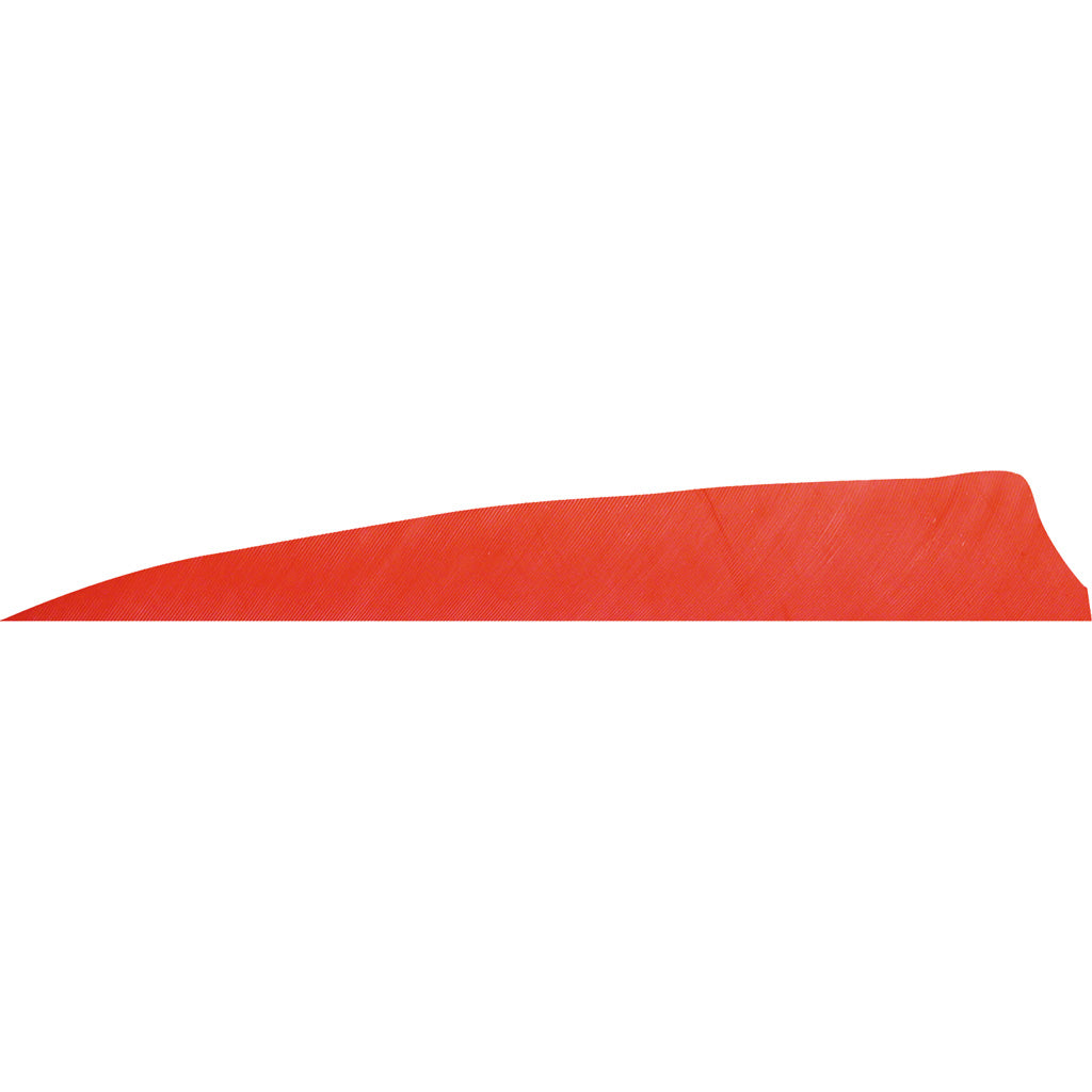 Gateway Shield Cut Feathers Red 4 in. RW 50 pk.