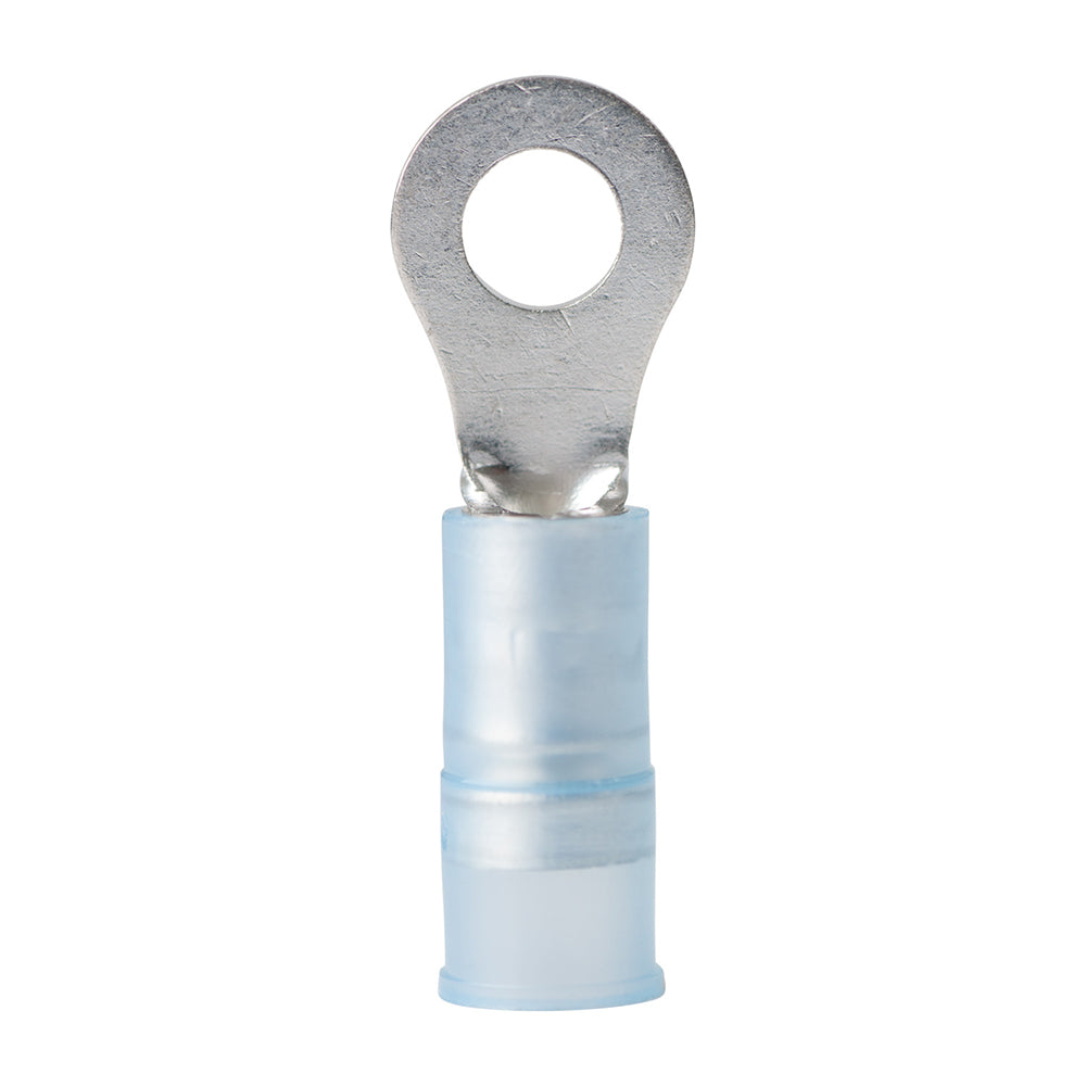 Ancor 16-14 AWG - #8 Nylon Ring Terminal - Pack of 100