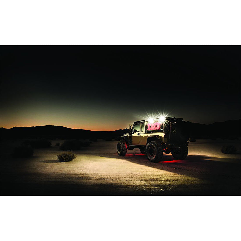 RIGID Industries 1" x 2" 65° - DC Scene Light - Black - image 3