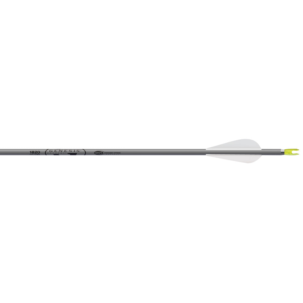 Easton Genesis Arrows 3 in. Vanes Silver 36 pk.