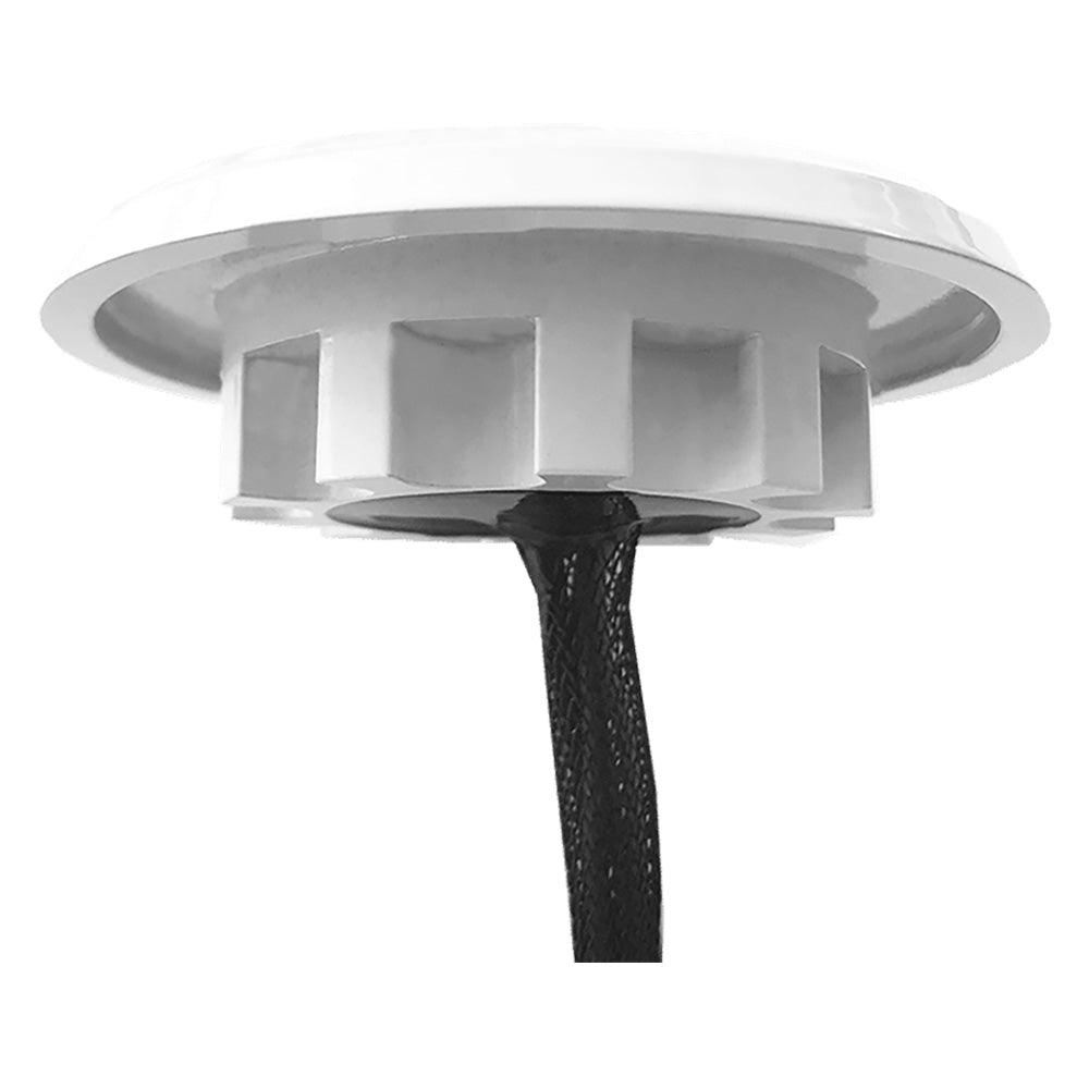 Shadow-Caster Downlight - White Housing - Cool White - image 2
