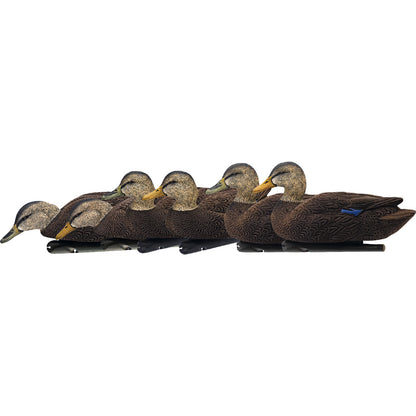 Avian X Top Flight Duck Decoys Flocked Black Duck 6 pk.