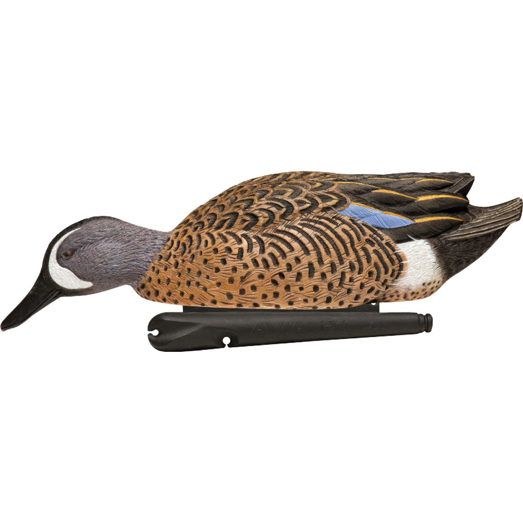 Avian X Top Flight Duck Decoys Blue-Winged Teal 6 pk.