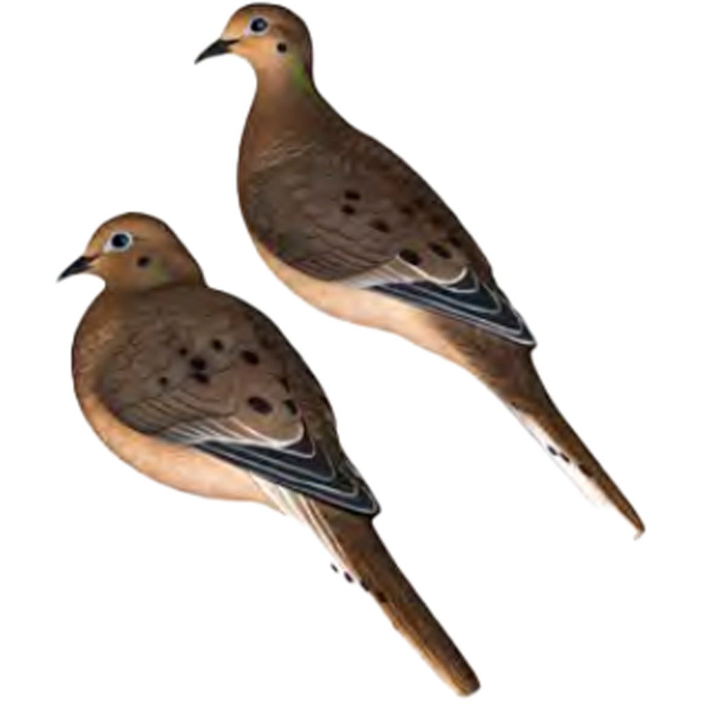 Avian X AXP Full Body Dove Decoys 6 pk.