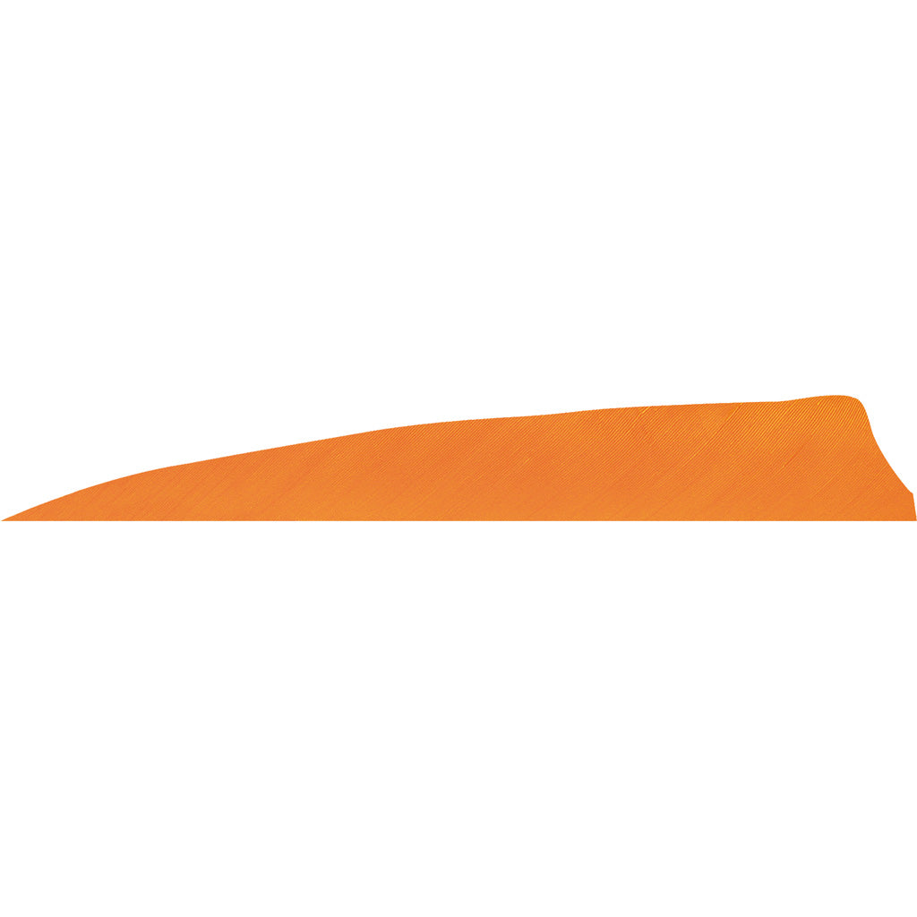 Gateway Shield Cut Feathers Flo Orange 4 in. LW 50 pk.