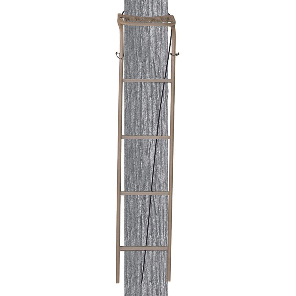 Trophy Treestands Hangtime Ladder