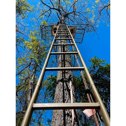Trophy Treestands Hangtime Ladder