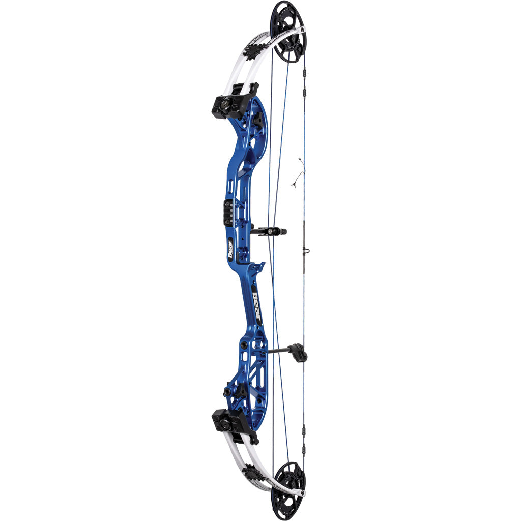 Bear Paramount Bow Blue/White 50 lbs. RH